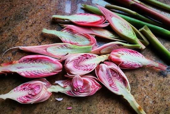 Bunga Kecombrang Biasa