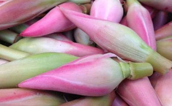 Bunga Kecombrang Siap Sayur