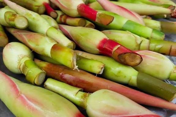 Bunga Kecombrang Siap Lalap